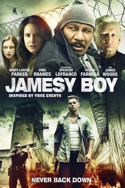 詹姆士 Jamesy.Boy.2014.1080p.BluRay.x264.DD5.1-FGT 7.76GB-1.jpg