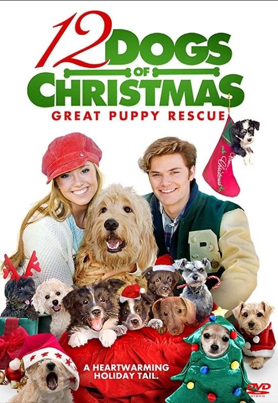 圣诞节的十二只狗狗 12.Dogs.Of.Christmas.Great.Puppy.Rescue.2012.1080p.BluRay.x264-MELiTE 7.94GB-1.jpg