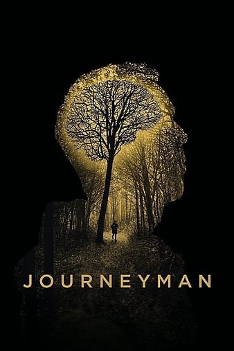 得心拳手 Journeyman.2017.1080p.BluRay.AVC.DTS-HD.MA.5.1-FGT 34.69GB-1.jpg