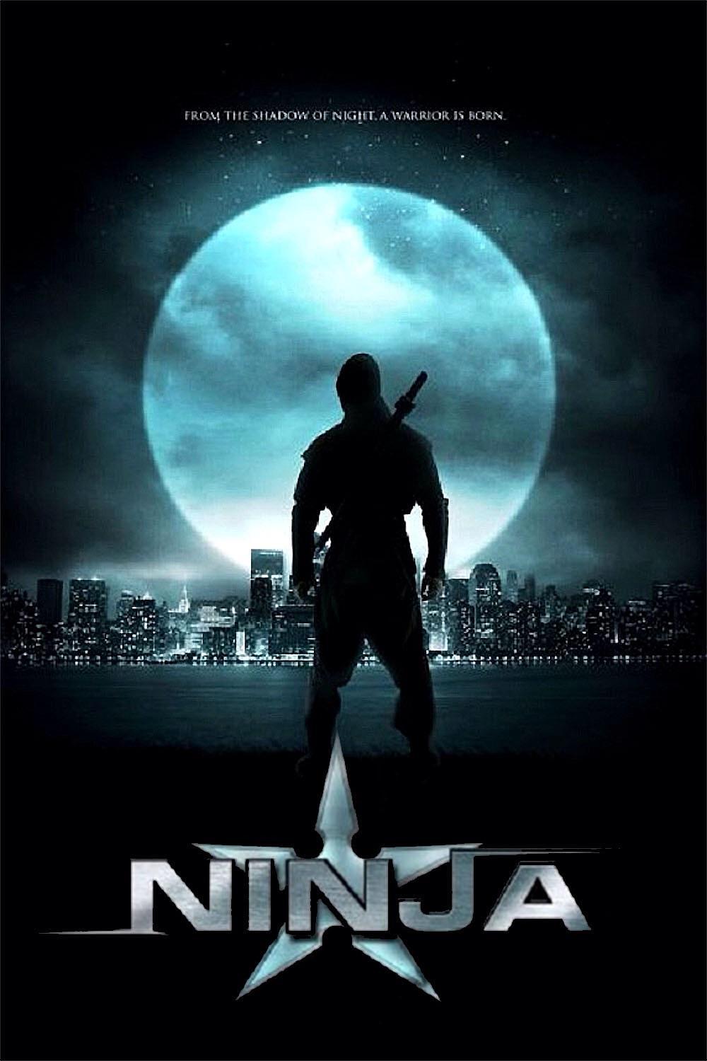 纽约行动 Ninja.2009.1080p.BluRay.x264-aAF 7.94GB-1.png