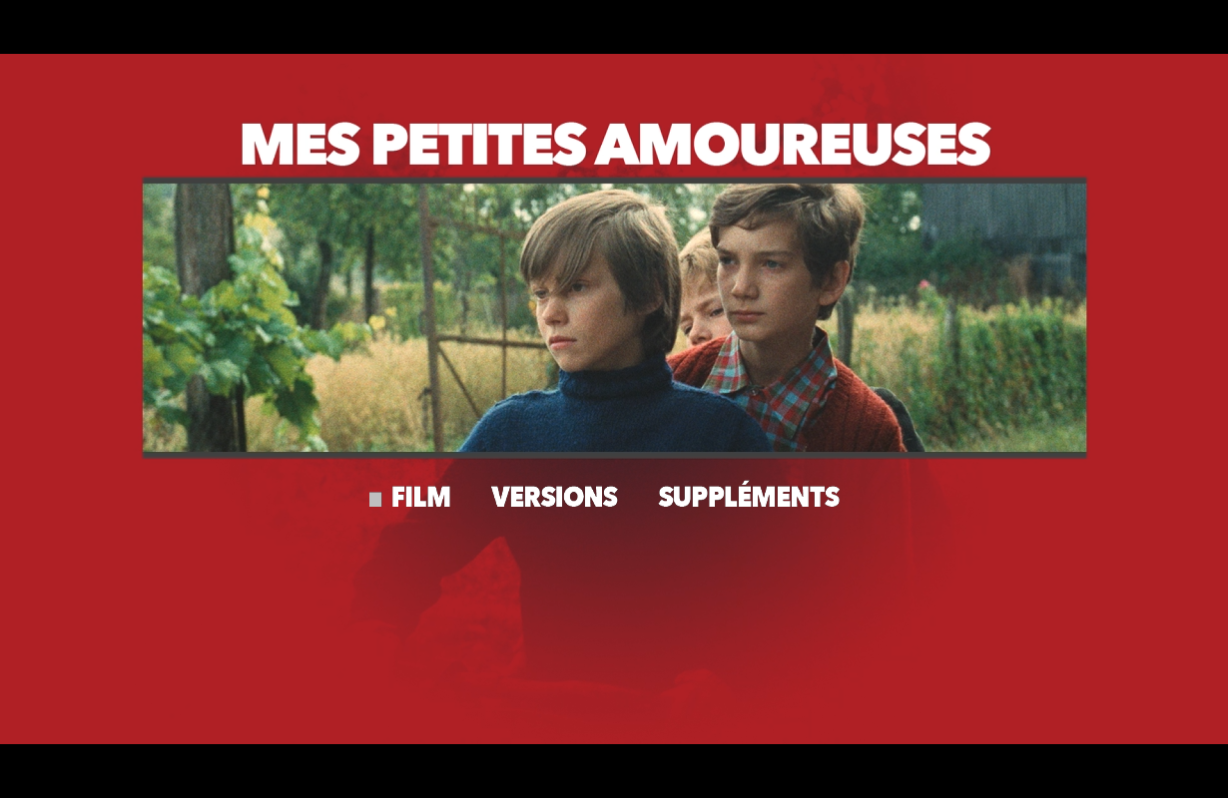 我的小情人 [DIY简繁字幕].Mes.petites.amoureuses.1974.REPACK.REMASTERED.VOF.1080p.FRA.Blu-ray.AVC.DTS-HD.MA.1.0-TAG 37.80GB-2.png