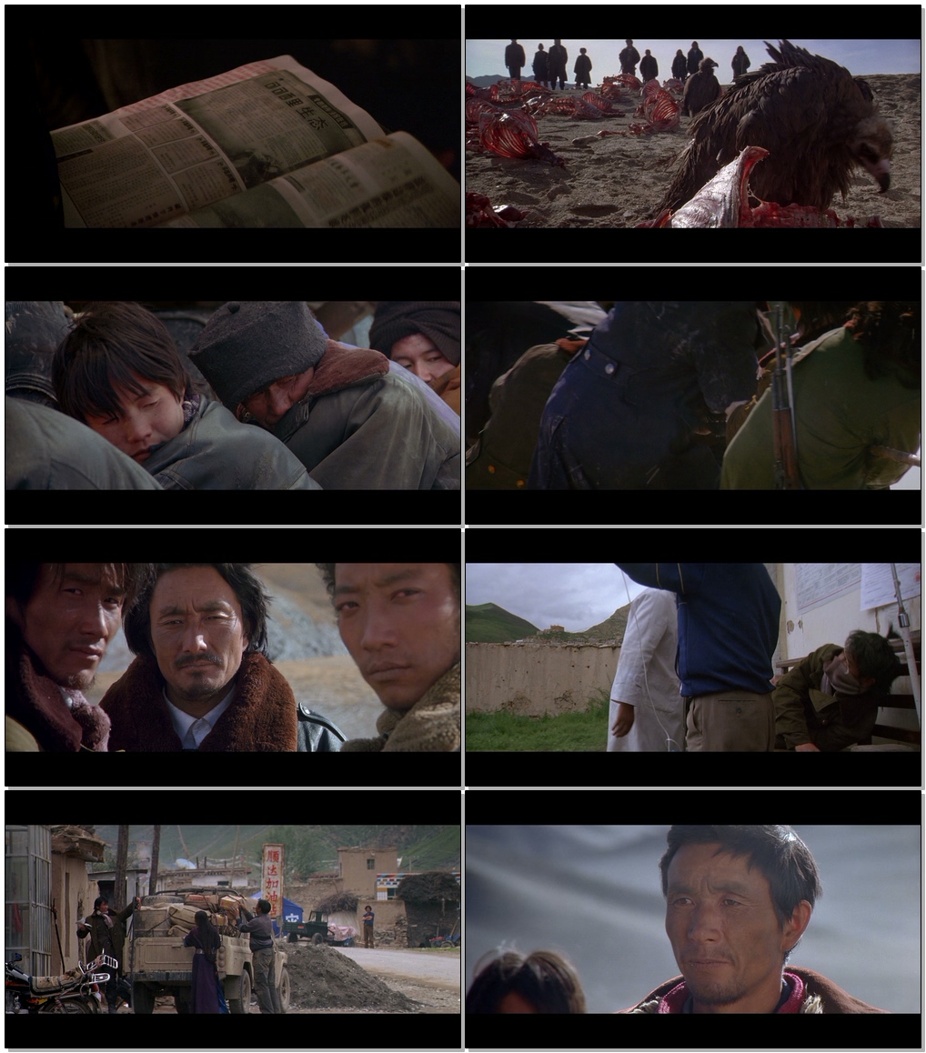 可可西里 [中字].Mountain.Patrol.Kekexili.2004.1080p.NF.WEB-DL.DDP5.1.x264-TAG 5.45GB-2.jpg