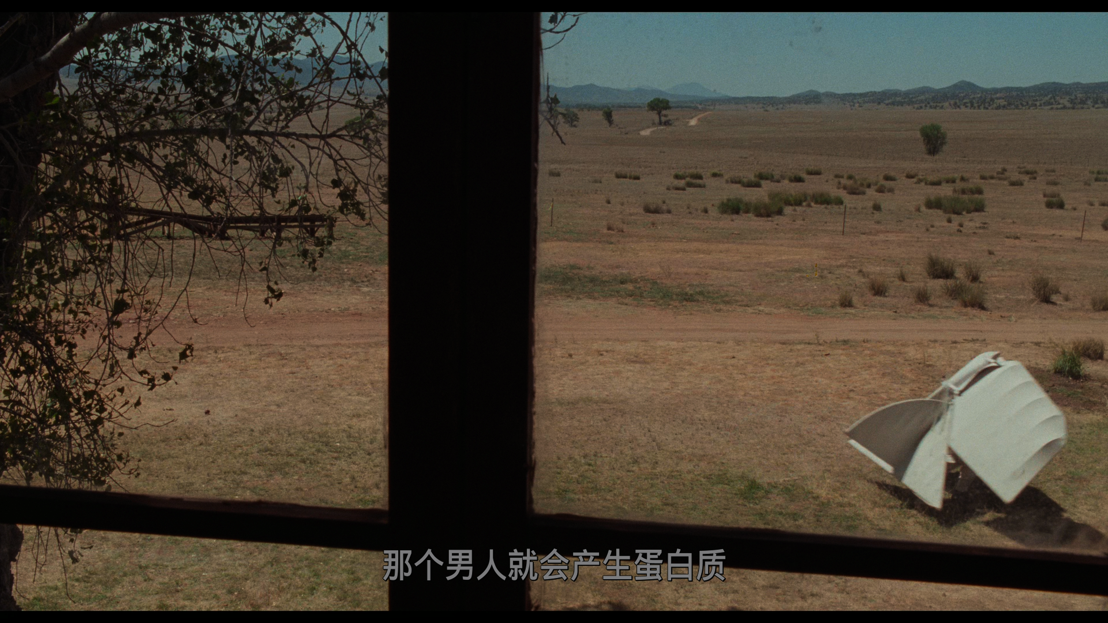 亚利桑那之梦 / 亚历桑那梦游 / 亚利桑纳之梦 [DIY简繁字幕].Arizona.Dream.1993.2160p.EUR.UHD.Blu-ray.DoVi.HDR10.HEVC.DTS-HD.MA.5.1-TAG 80.09GB-4.png