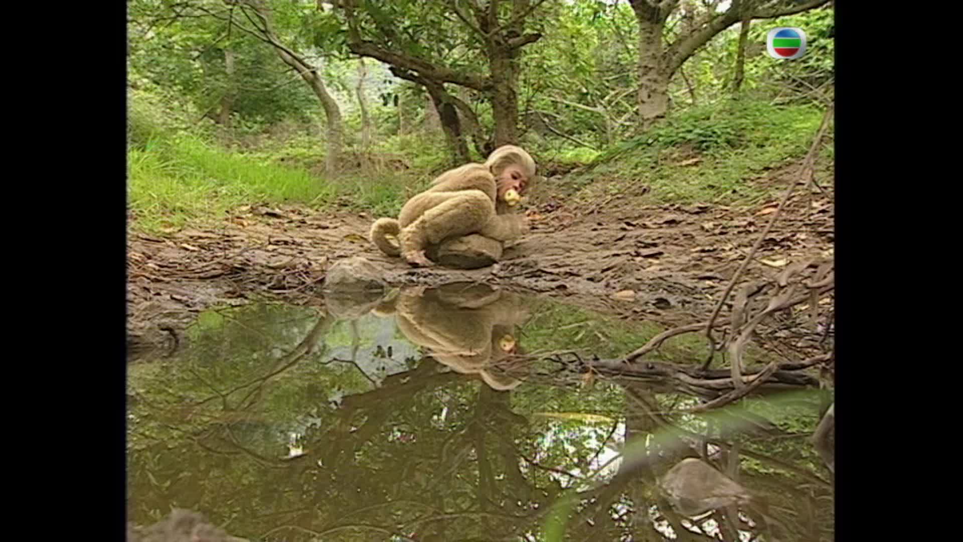 西游记/齐天大圣 第一季 [全30集][粤语|内封中字].Journey.to.the.West.1996.S01.1080p.MyTVS.WEB-DL.H265.AAC-TAG 38.20GB-3.jpg