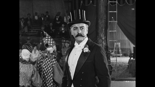 马戏团 [DiY简繁字幕 CC标准收藏版].The.Circus.1928.1080p.Criterion.Collection.Blu-ray.AVC.LPCM.1.0-TAG 42.77GB-12.jpg