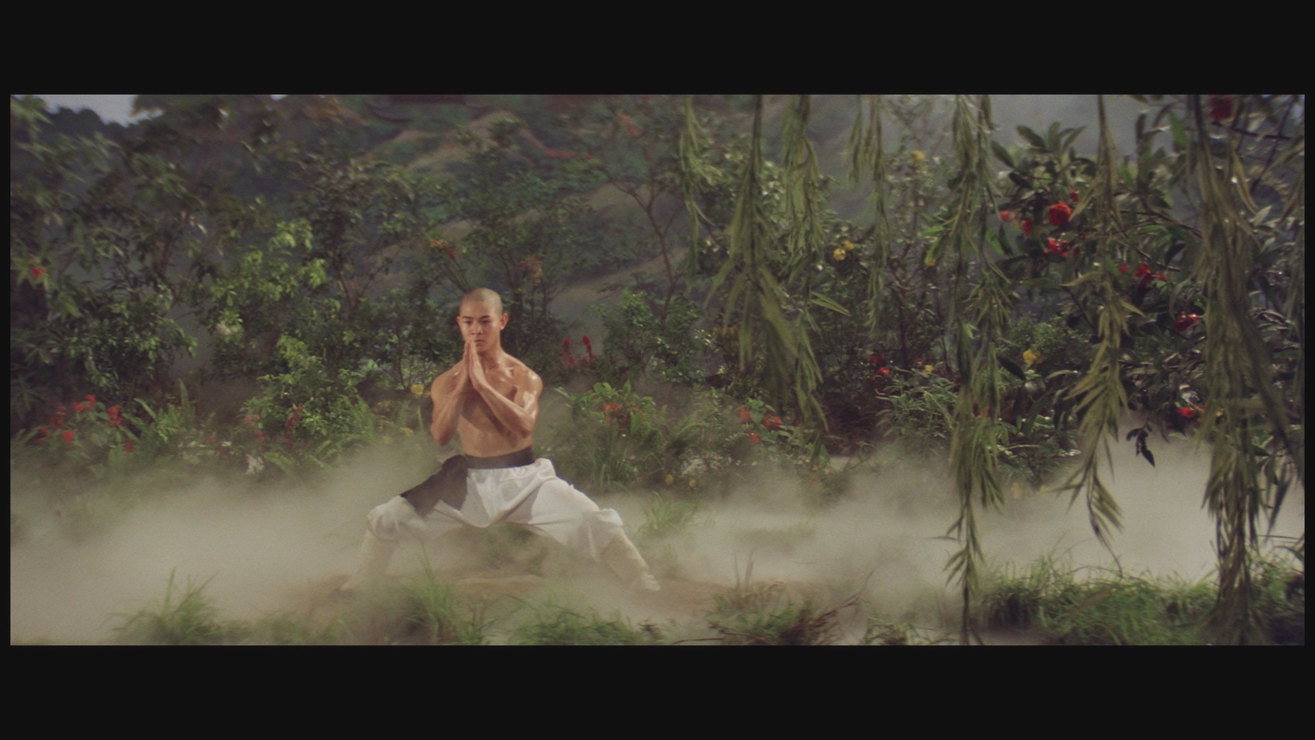 少林寺 [日版4K修复][自带国语DIY粤语+国配中字+中文菜单].The.Shaolin.Temple.1982.Blu-ray.1080p.AVC.DTS-HD.MA.5.1-TAG 31.42GB-5.png