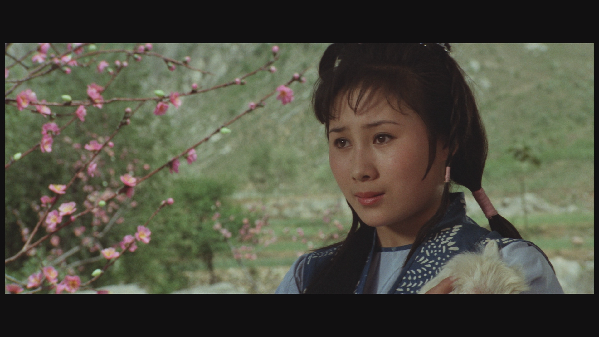 少林寺 [日版4K修复][自带国语DIY粤语+国配中字+中文菜单].The.Shaolin.Temple.1982.Blu-ray.1080p.AVC.DTS-HD.MA.5.1-TAG 31.42GB-4.png