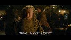 霍比特人2：史矛革之战/哈比人：荒谷魔龙(港)/哈比人：荒谷恶龙(台) [加长版 DIY简繁殊效/双语殊效字幕].The.Hobbit.The.Desolation.of.Smaug.2013.Extended.1080p.BluRay.AVC.DTS-HD.MA.7.1-TAG 40.29GB-2.jpg