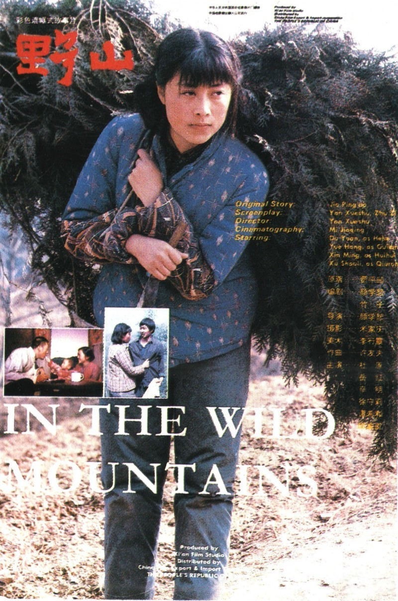 野山 [爱奇艺独家修复版][国语 无字幕].In.the.Wild.Mountains.1986.WEB-DL.2160P.H265.DDP.2.0-TAG 3.46GB-1.jpg