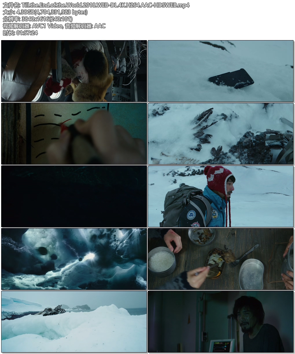 南极之恋 [内嵌简体中字].Till.the.End.of.the.World.2018.WEB-DL.4K.H264.AAC-TAG 4.38GB-2.jpg